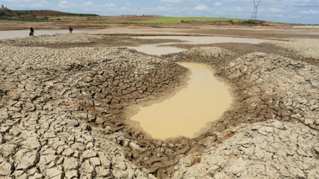 Theo Bộ Nông nghiệp và Phát triển nông thôn, xâm nhập mặn ở đồng bằng sông Cửu Long đã xuất hiện sớm, cao hơn trung bình nhiều năm và cùng kỳ năm 2023. (Ảnh minh họa)