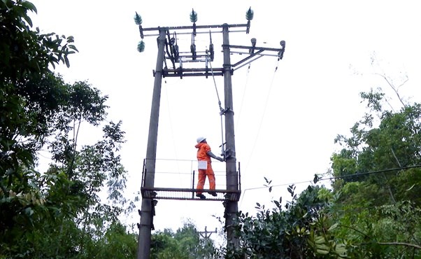 Nhân viên Điện lực thành phố Việt Trì thực hiện giải phóng hành lang lưới điện.