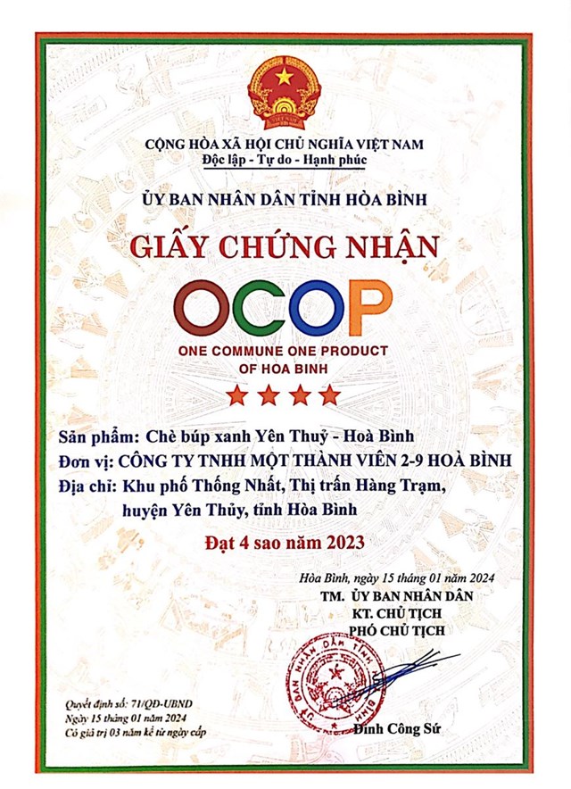 Giấy chứng nhận OCOP 4 sao chè búp xanh Yên Thủy - Hòa Bình.