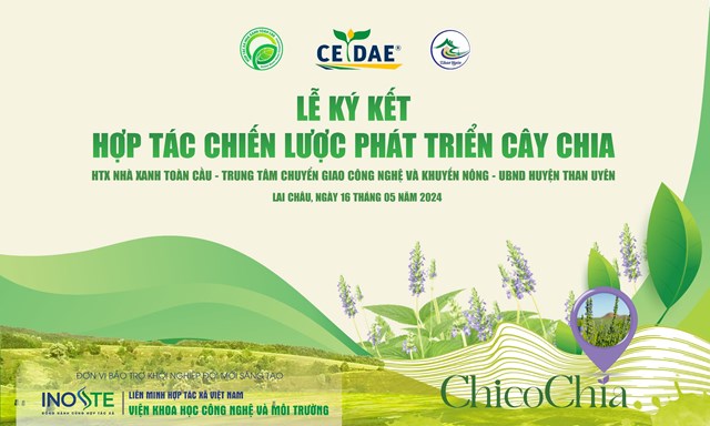 Huyện Than Uy&#234;n (tỉnh Lai Ch&#226;u): Lễ k&#253; kết Hợp t&#225;c chiến lược ph&#225;t triển c&#226;y Chia - Ảnh 1