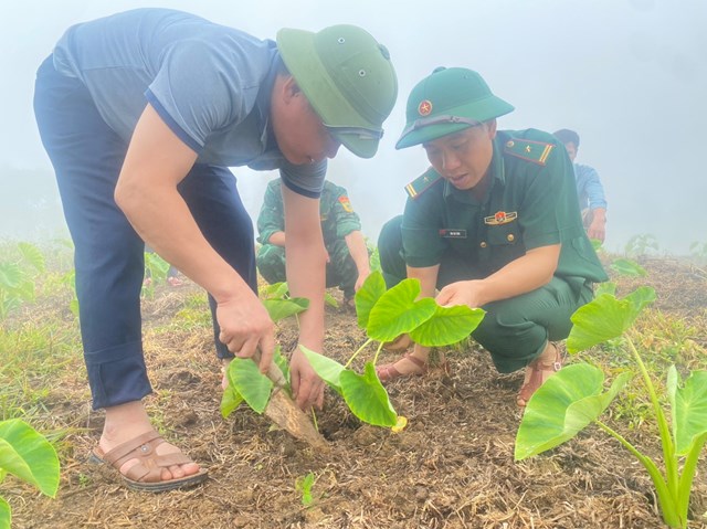 Đồn Biên phòng Cửa khẩu Quốc tế Na Mèo tích cực hỗ trợ người dân phát triển kinh tế, thực hiện tốt nhiệm vụ - Ảnh 2