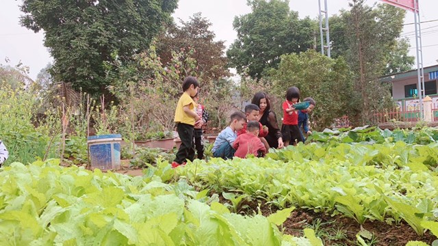 Ph&#250; Thọ: Cơ sở Gi&#225;o dục mầm non tư thục Hoa Mặt Trời 2 - điểm s&#225;ng cần nh&#226;n rộng - Ảnh 20