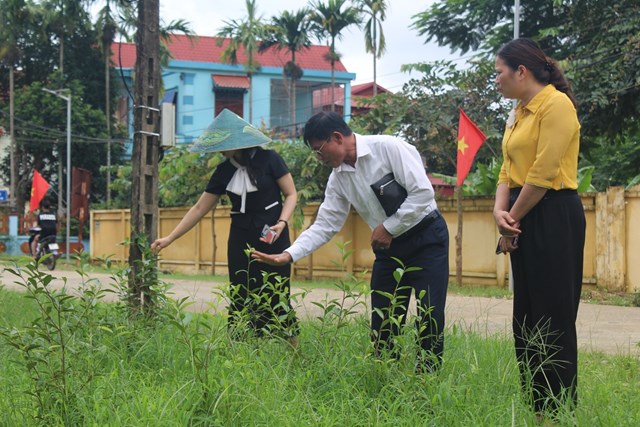 Chủ tịch Hiệp hội Chè Việt Nam Hoàng Vĩnh Long hướng dẫn một số kỹ thuật trồng và chăm sóc cây chè tới Ban lãnh đạo  Công ty TNHH MTV 2-9 Hòa Bình.