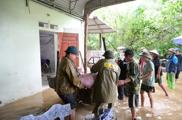 Công an xã Phù Lưu cùng bà con hỗ trợ nhà dân di chuyển tài sản  