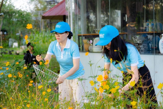 Hoạt động H&aacute;i hoa trang tr&iacute; b&agrave;n tiệc