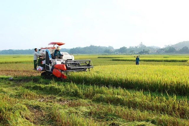 Cơ giới hóa trong sản xuất nông nghiệp 