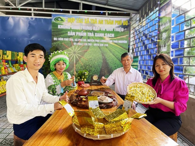 TS. Đinh Văn Thành, chuyên gia trồng trọt thưởng thức trà và tư vấn kỹ thuật tại HTX trà an toàn Phú Đô.