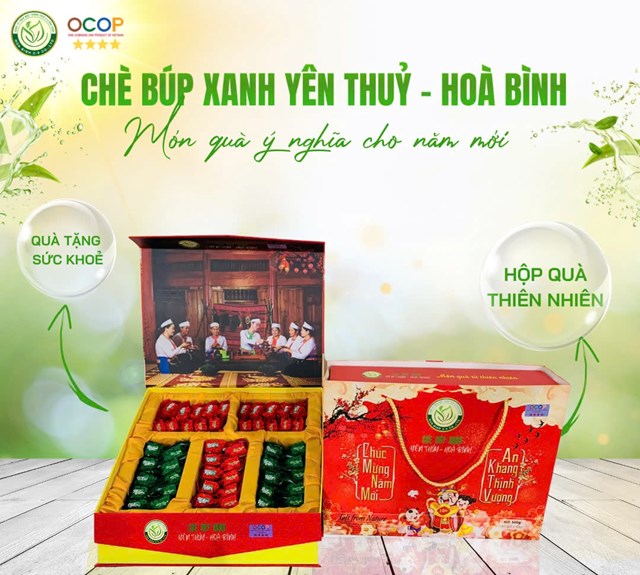 Ch&#232; b&#250;p xanh Y&#234;n Thủy - H&#242;a B&#236;nh: Dấu ấn thương hiệu ch&#232; Việt năm 2024 - Ảnh 6