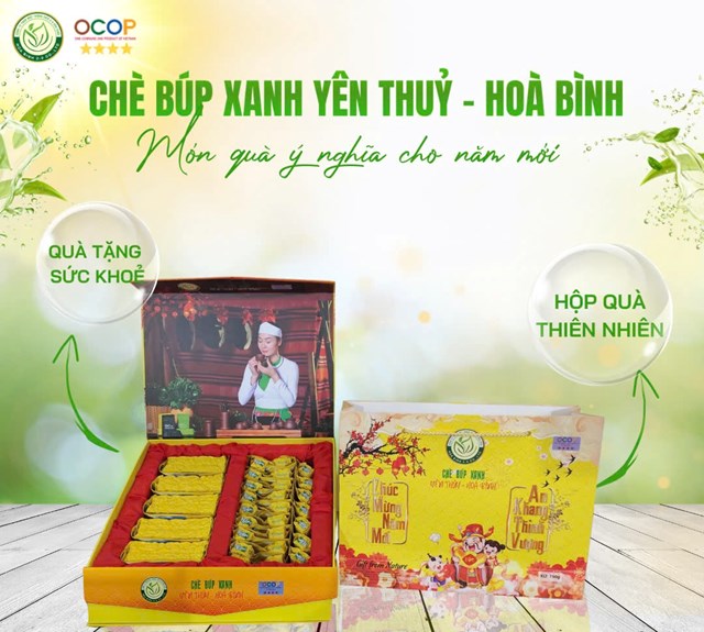 Ch&#232; b&#250;p xanh Y&#234;n Thủy - H&#242;a B&#236;nh: Dấu ấn thương hiệu ch&#232; Việt năm 2024 - Ảnh 8