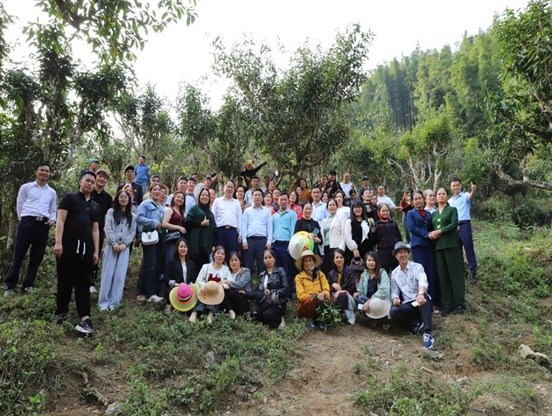 Đoàn tham quan vùng chè nguyên liệu của HTX chè Phìn Hồ ở độ cao 1200m so với mực nước biển.