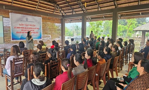 Lớp tập huấn kỹ thuật chăm sóc và quảng bá quy trình sản xuất chế biến chè do Liên minh HTX tỉnh Thái Nguyên tổ chức.