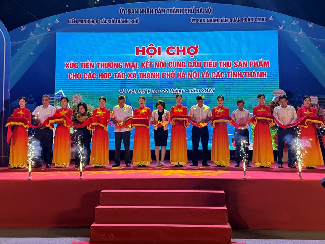 Đẩy mạnh xúc tiến thương mại, kết nối tiêu thụ sản phẩm cho các hợp tác xã năm 2025 - Ảnh 1