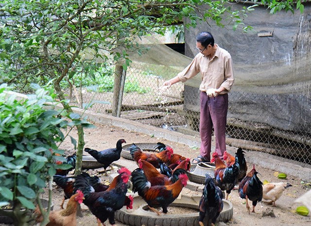 Mô hình trồng cây ăn quả kết hợp chăn nuôi đem lại thu nhập ổn định cho gia đình ông Nguyễn Đăng Hữu.