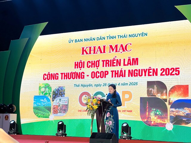 Bà Nguyễn Thị Loan, Phó Chủ tịch UBND tỉnh Thái Nguyên phát biểu khai mạc Hội chợ.