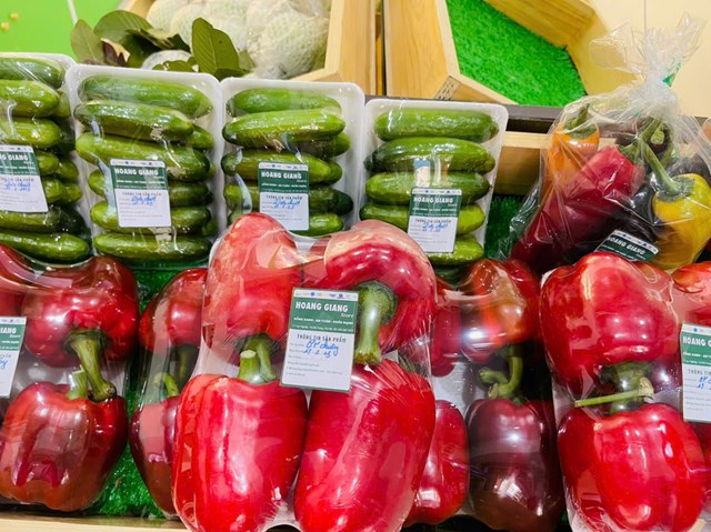 Hoàng Giang Store – Hành trình từ nông trại hữu cơ đến mâm cơm xanh sạch của người Việt - Ảnh 2