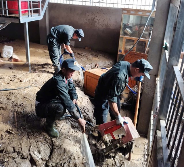 Ng&ocirc;i nh&agrave; của b&agrave; Vi Thị Quy&ecirc;n, B&iacute; thư Đảng ủy x&atilde; Mường T&iacute;p, tại x&atilde; Mường X&eacute;n bị ngập s&acirc;u trong b&ugrave;n đất sau lũ; lực lượng t&igrave;nh nguyện đang hỗ trợ dọn dẹp.