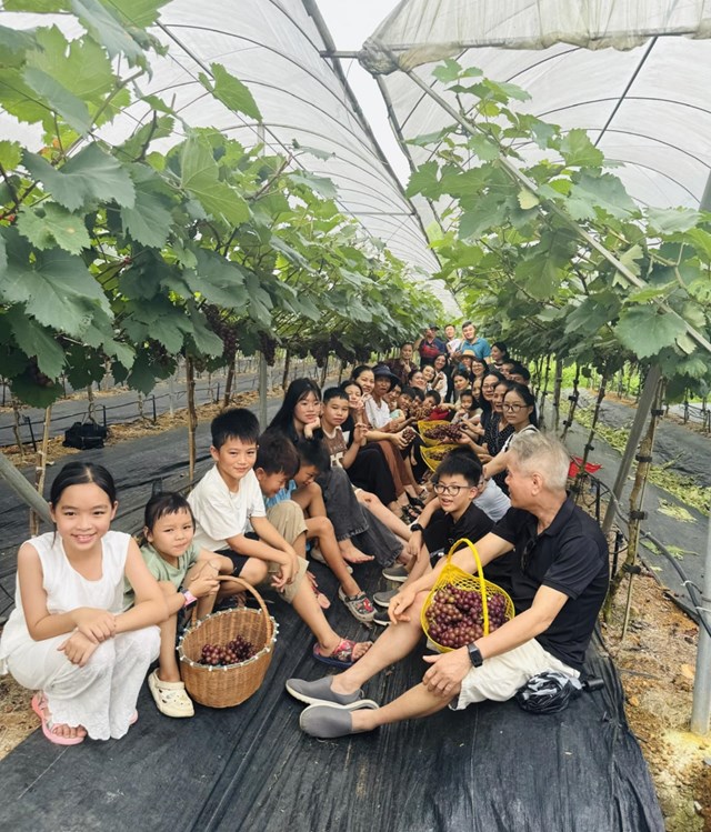 Vào vườn, du khách sẽ được trải nghiệm, check-in, chụp ảnh, hái nho rất thú vị.