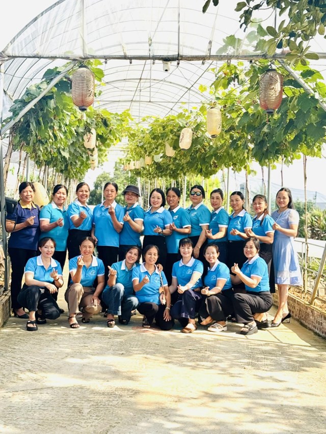 Vườn nho đang thu h&uacute;t đ&ocirc;ng đảo du kh&aacute;ch trải nghiệm.