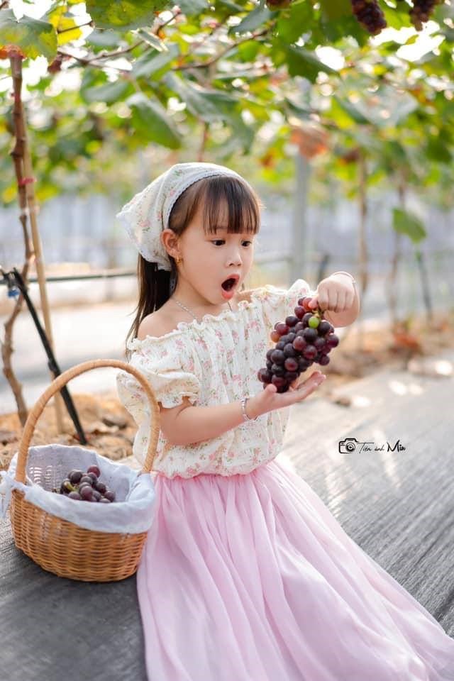 Hấp dẫn với du lịch trải nghiệm “vườn nho Thủy Thắng” ở Ph&#250; Thọ - Ảnh 4