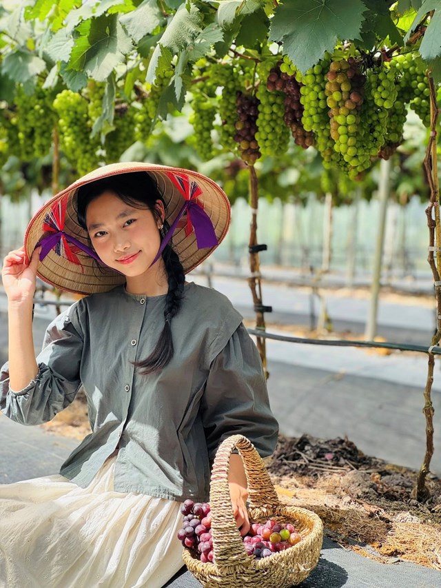 Hấp dẫn với du lịch trải nghiệm “vườn nho Thủy Thắng” ở Ph&#250; Thọ - Ảnh 5