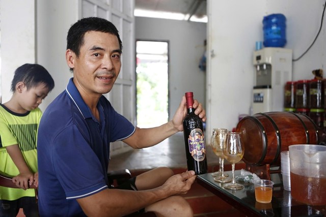 Hấp dẫn với du lịch trải nghiệm “vườn nho Thủy Thắng” ở Ph&#250; Thọ - Ảnh 9