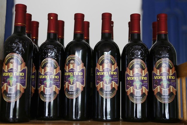 Hấp dẫn với du lịch trải nghiệm “vườn nho Thủy Thắng” ở Ph&#250; Thọ - Ảnh 11