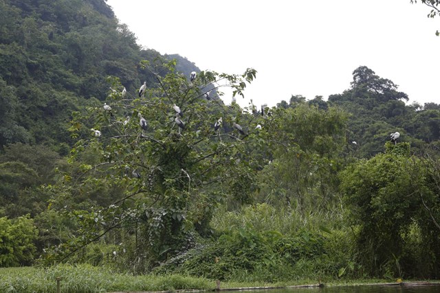 Về miền di sản Tràng An – Cố đô Hoa Lư: Gắn kết nội lực, lan tỏa giá trị văn hóa và tinh thần - Ảnh 21