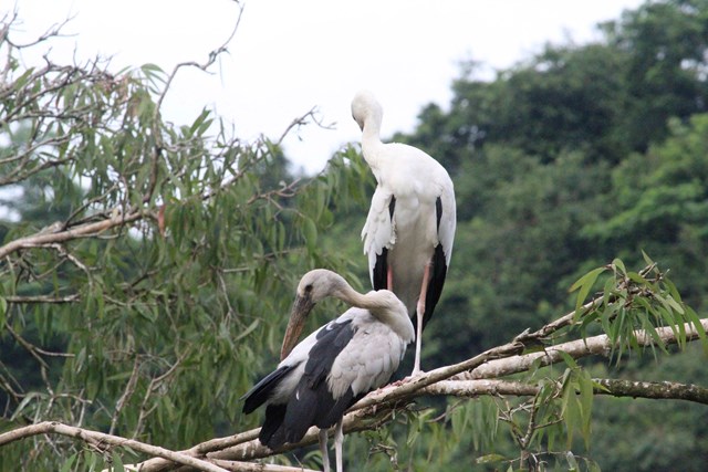 Về miền di sản Tràng An – Cố đô Hoa Lư: Gắn kết nội lực, lan tỏa giá trị văn hóa và tinh thần - Ảnh 24