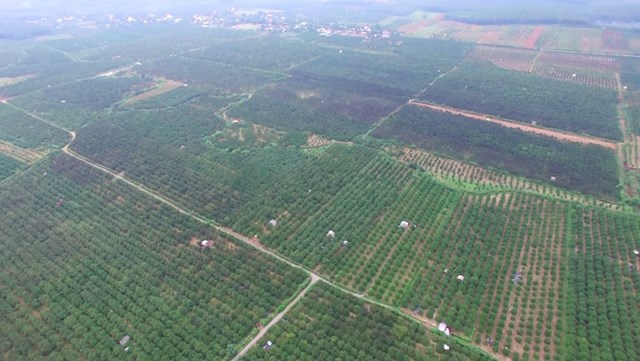 Minh Hợp tr&#234;n h&#224;nh tr&#236;nh đổi mới: Người d&#226;n miền n&#250;i l&#224;m gi&#224;u từ s&#225;ng tạo - Ảnh 2