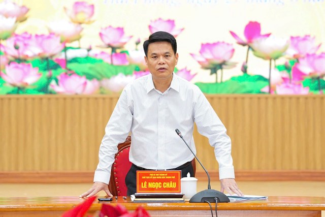 Đồng chí Lê Ngọc Châu – Phó Bí thư Thành ủy, Chủ tịch UBND thành phố phát biểu chỉ đạo tại buổi làm việc.