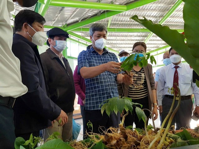 Ông Hồ Quang Biểu - Phó Chủ tịch TP Đà Nẵng tại hội trợ Sâm Ngọc Linh