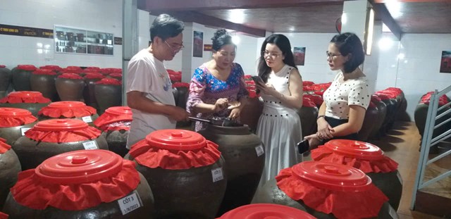 Vợ chồng b&agrave; Trần Thị Lưu giới thiệu c&acirc;y M&uacute; từn &ndash; &ldquo;thần dược&rdquo; từ n&uacute;i rừng Quế Phong, Nghệ An.