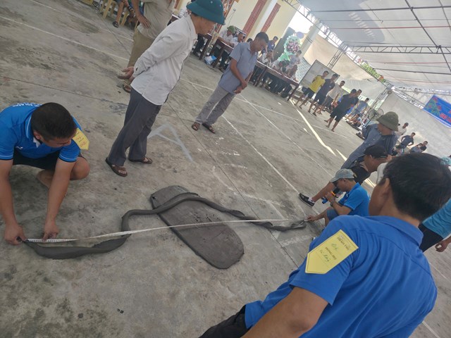 Các đội phối hợp nhịp nhàng thể hiện kỹ thuật và tinh thần đoàn kết.