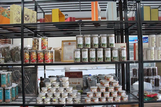 Sen quê Bác: Từ khát vọng đến thương hiệu đậm dấu ấn - Ảnh 2