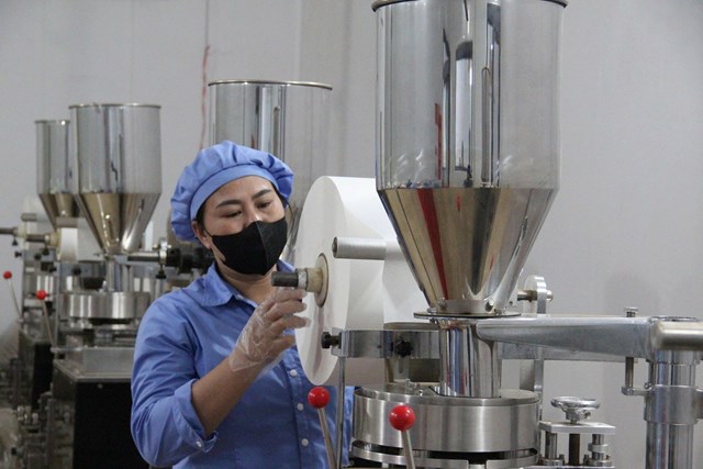 Hệ thống m&aacute;y m&oacute;c ti&ecirc;n tiến g&oacute;p phần n&acirc;ng cao năng suất v&agrave; chất lượng sản phẩm dược liệu