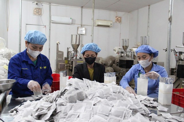 Lao động chủ yếu l&agrave; người địa phương, l&agrave;m việc trong điều kiện vệ sinh nghi&ecirc;m ngặt, đảm bảo chất lượng sản phẩm