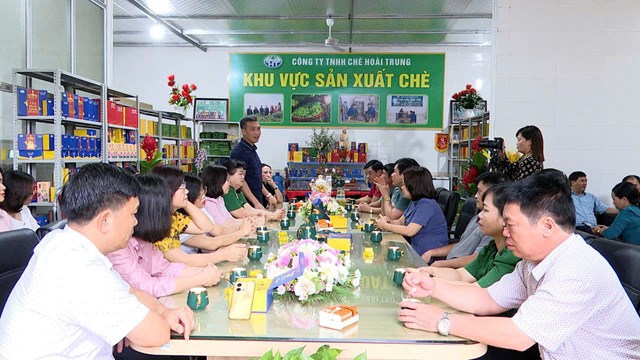 Nhiều đoàn khách trong nước và quốc tế đến tham quan, tìm hiểu quy trình trồng và sản xuất chè tại Công ty TNHH Chè Hoài Trung.