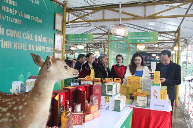 Gian h&agrave;ng sản phẩm nhung hươu đến từ H&agrave; Tĩnh