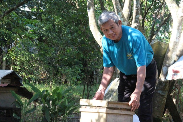 &Ocirc;ng Nguyễn Tri Thức kiểm tra đ&agrave;n ong của gia đ&igrave;nh