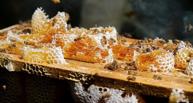 Kh&rgb(2, 2, 5);m ph&rgb(2, 2, 5); l&rgb(2, 2, 4);ng nghề OCOP H&rgb(2, 2, 4); Tĩnh: Tiềm năng v&rgb(2, 2, 4); th&rgb(2, 2, 5);ch thức - Ảnh 1