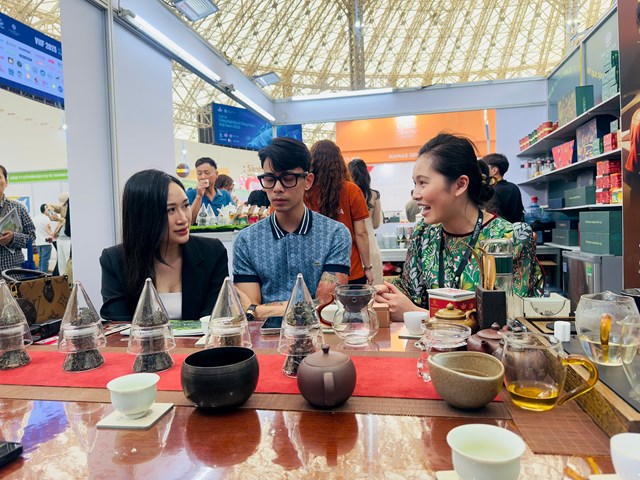 Hacoocha lan tỏa hương vị đại ngàn tại Tea Masters Cup Vietnam 2025 - Ảnh 4