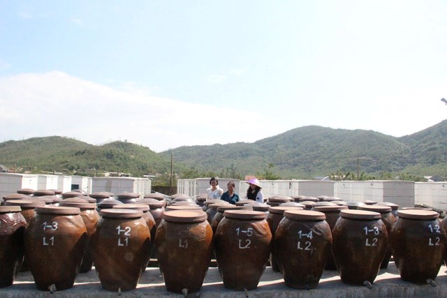 Quy mô 400 thùng chượp của cơ sở sản xuất nước mắm Phú Khương