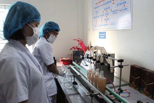 Dây chuyền đóng chai tự động