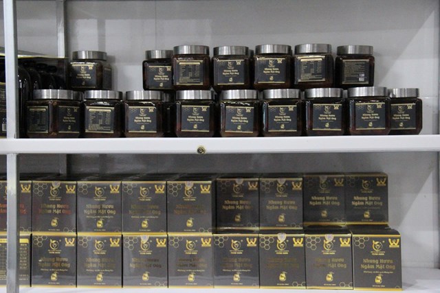 Cao nhung hươu – sản phẩm chủ đạo của cơ sở Trầm Nhân đã được chứng nhận OCOP 3 sao