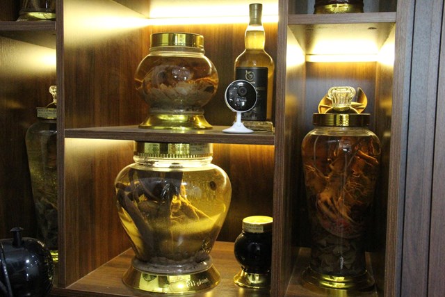 Các loại rượu sâm nhung mẫu mã đẹp, chất lượng vượt trội, nhưng đã uống thì không lái xe