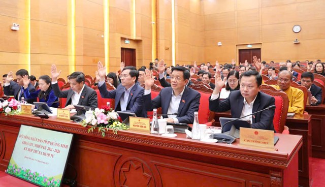 Đại biểu HĐND tỉnh biểu quyết th&ocirc;ng qua c&aacute;c nghị quyết tại Kỳ họp.