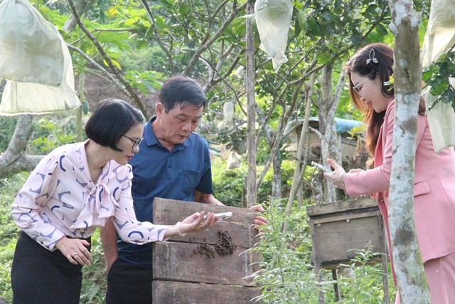 Ông Đậu Khắc Mạnh, Giám đốc HTX Nuôi ong Ân Phú chia sẻ kinh nghiệm nuôi ong truyền thống chất lượng cao