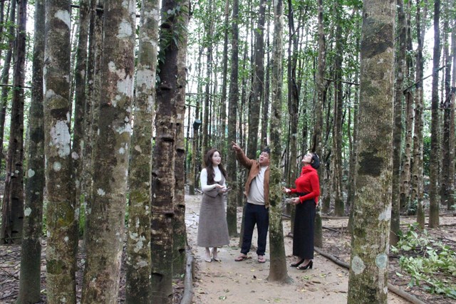 Nguyễn Chí Thành, chủ Cơ sở sản xuất trầm hương Đinh Gia, xã Phúc Trạch giới thiệu vườn cây trầm hương đã cho sản phẩm OCOP 4 sao