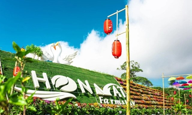 Sắc vàng Nghĩa Đàn gọi mùa: Du lịch miền Tây xứ Nghệ sôi động những ngày cuối năm - Ảnh 2