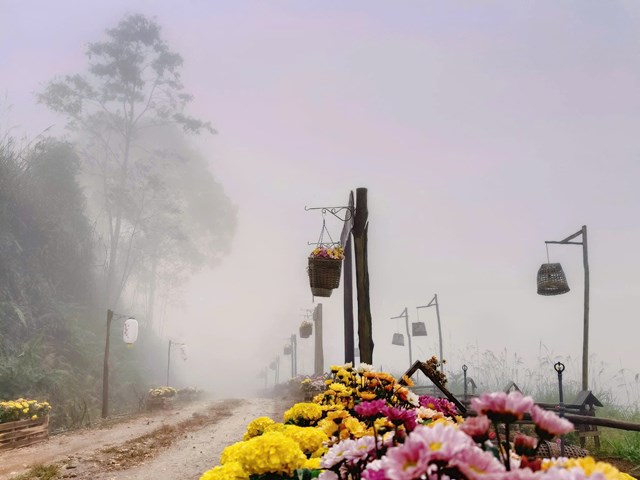 Miền Tây xứ Nghệ - Hành trình xanh từ Quỳ Châu đến Quế Phong - Ảnh 4